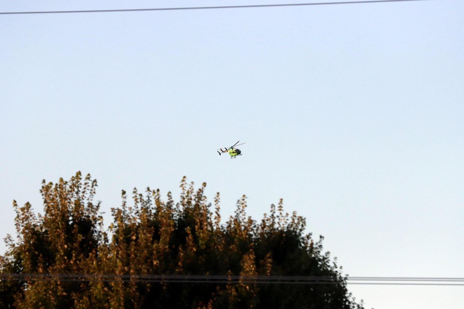 2025-vfbnorwalk-0500