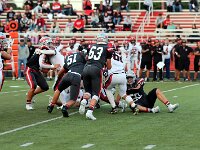 2025-vfbwauseon-1288