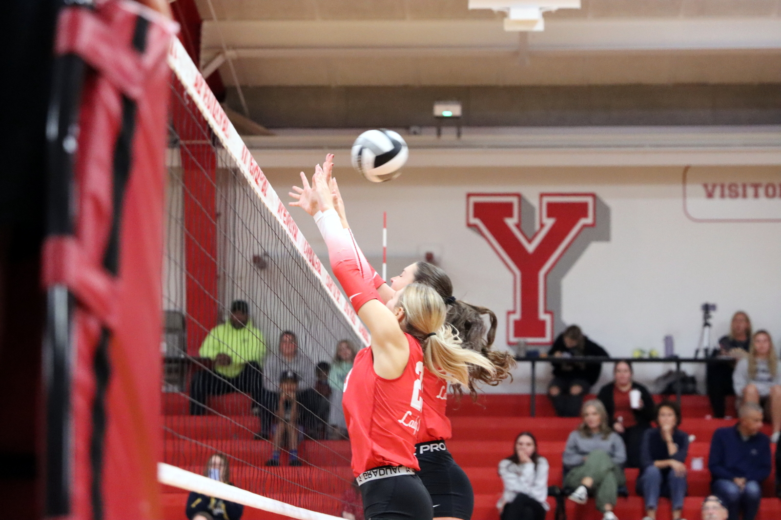 2025-vvbnorwalk-0471