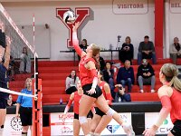 2025-vvbnorwalk-0298