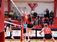 2025-vvbnorwalk-0341