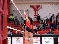 2025-vvbnorwalk-0463