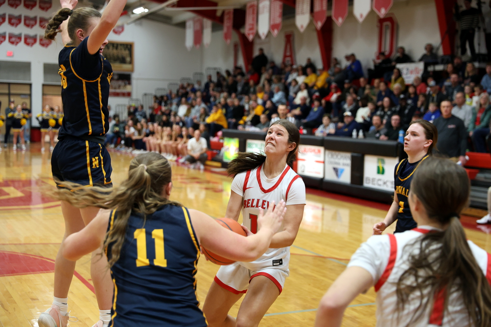 2026- gbbnorwalk-0597