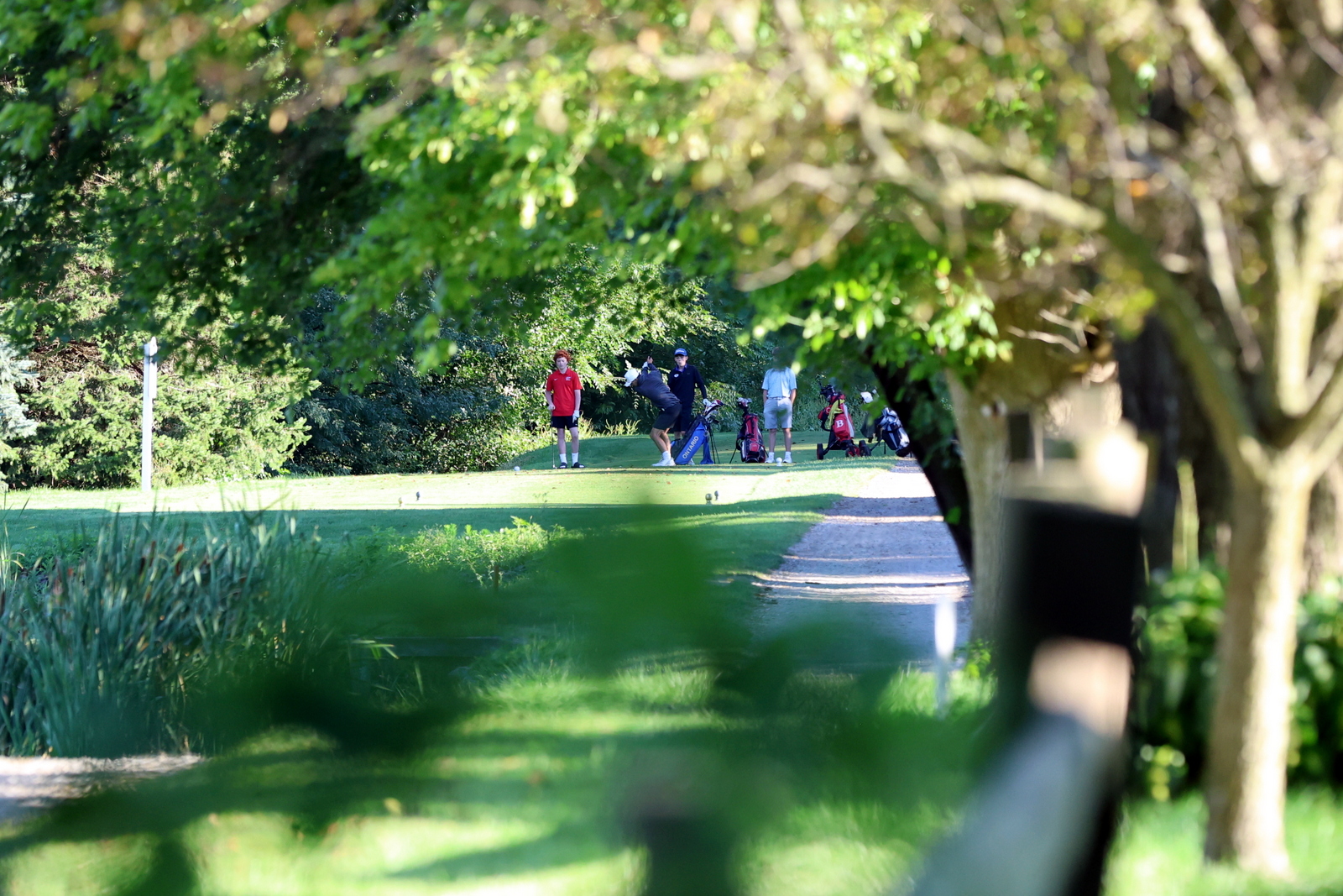 2026-vbgbellevueinvite-0117