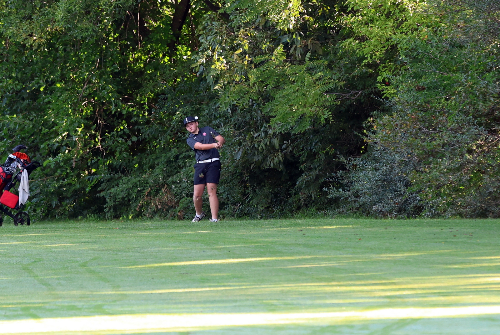 2026-vbgbellevueinvite-0359