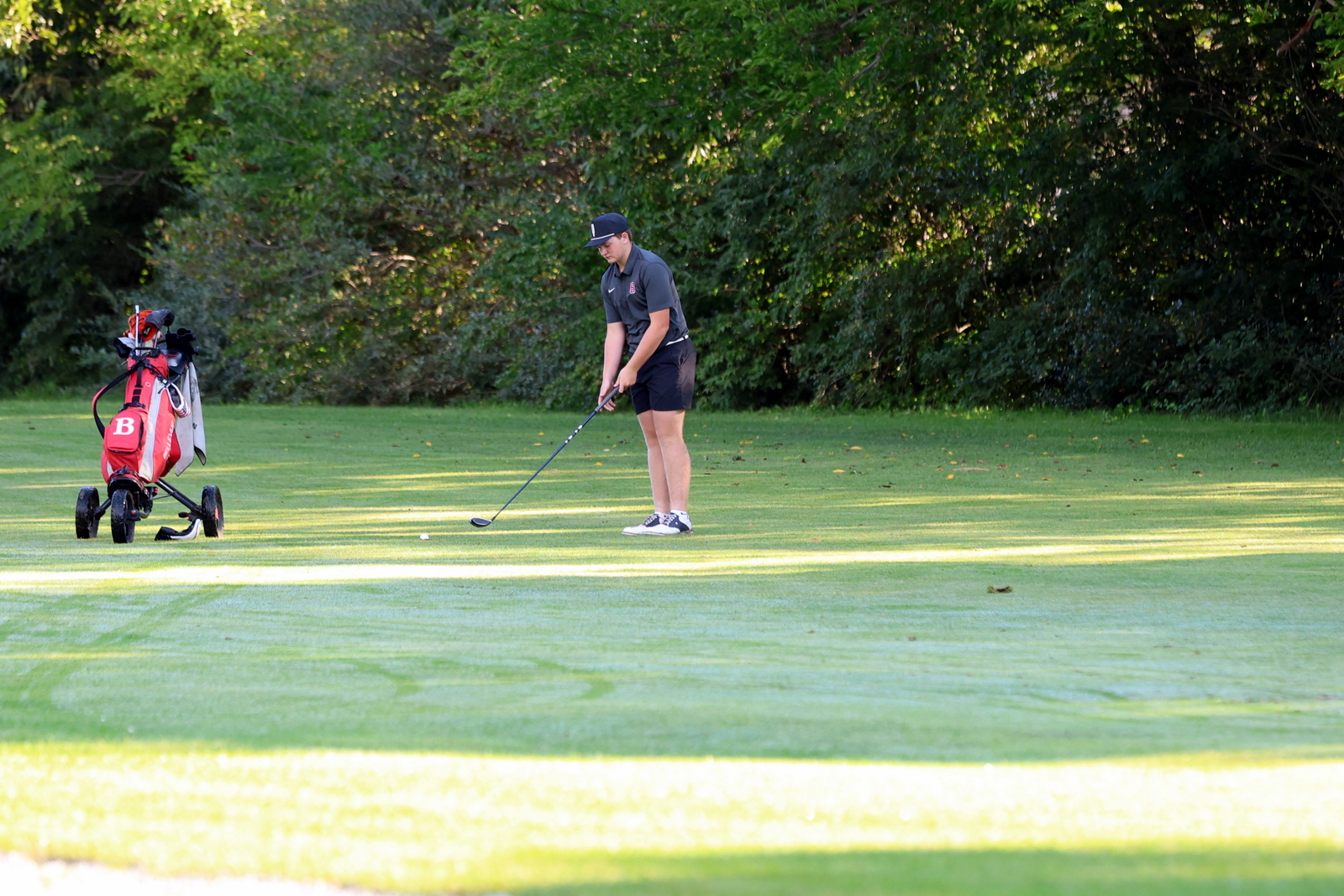 2026-vbgbellevueinvite-0366
