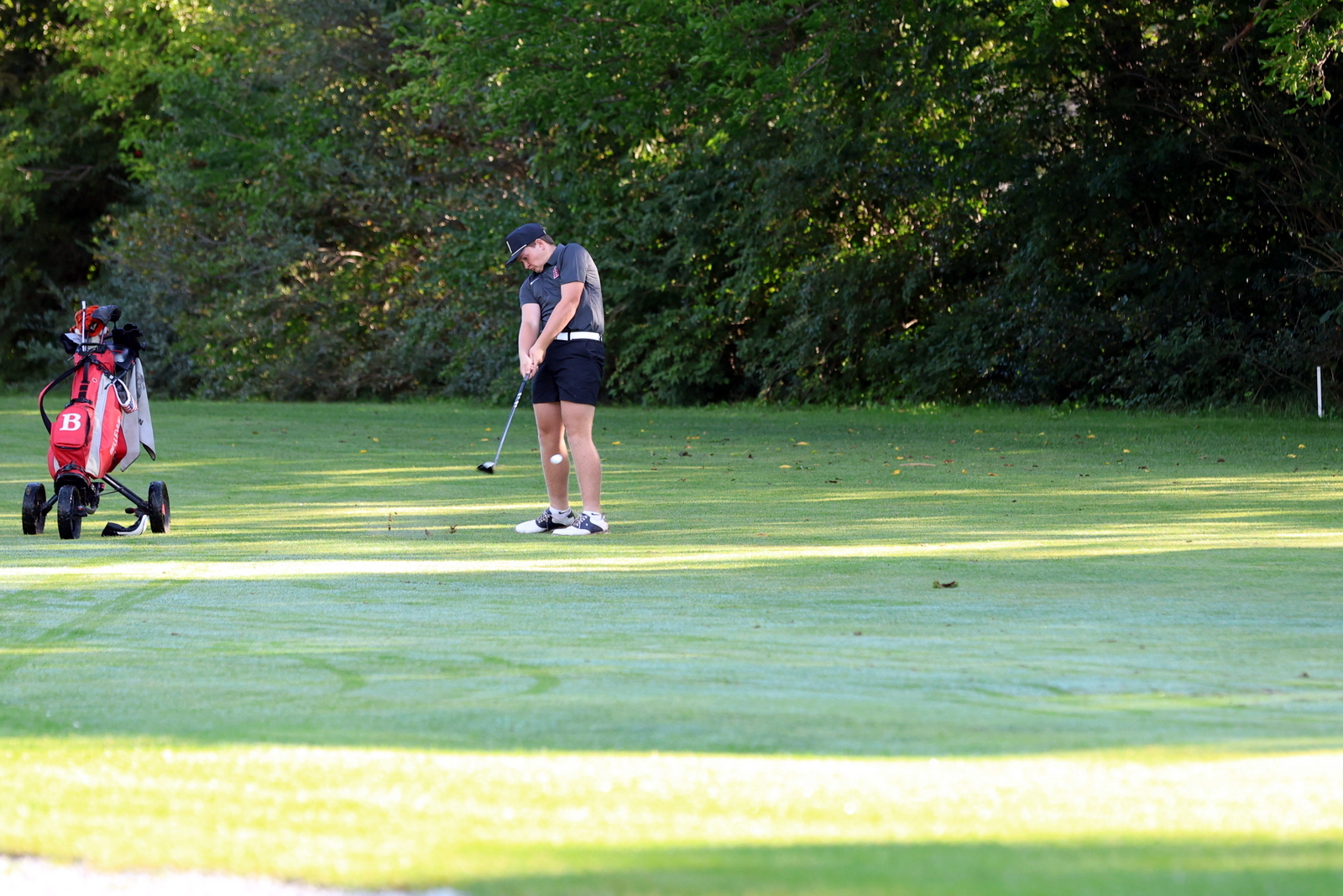 2026-vbgbellevueinvite-0378