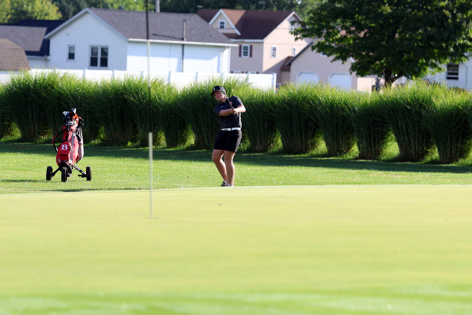 2026-vbgbellevueinvite-0393