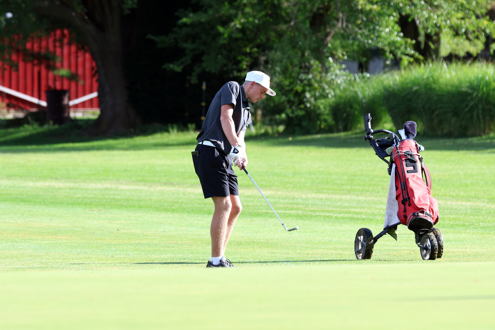 2026-vbgbellevueinvite-0505