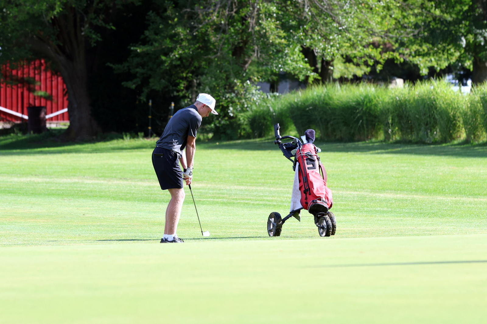 2026-vbgbellevueinvite-0512