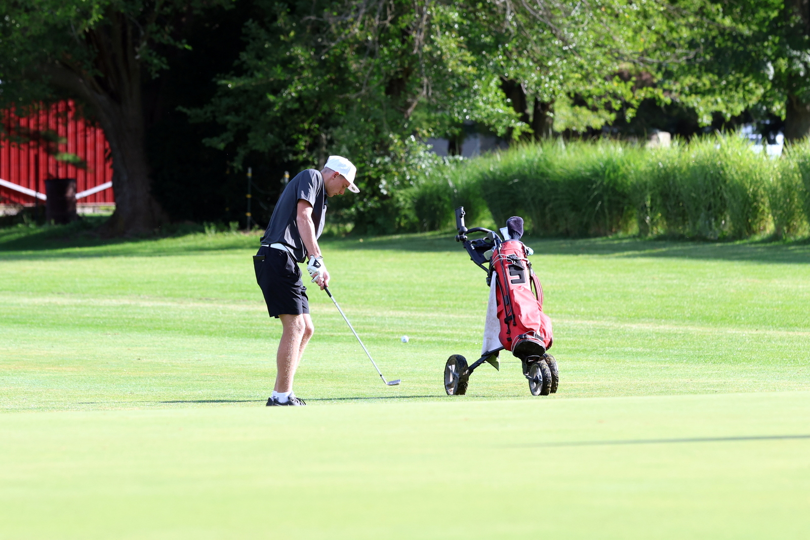 2026-vbgbellevueinvite-0513