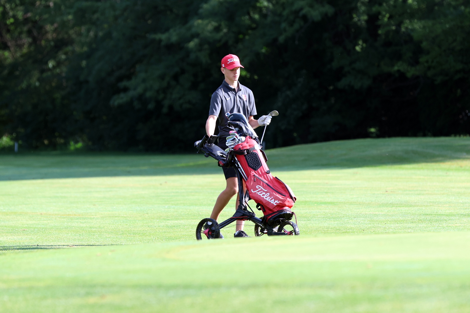 2026-vbgbellevueinvite-0581