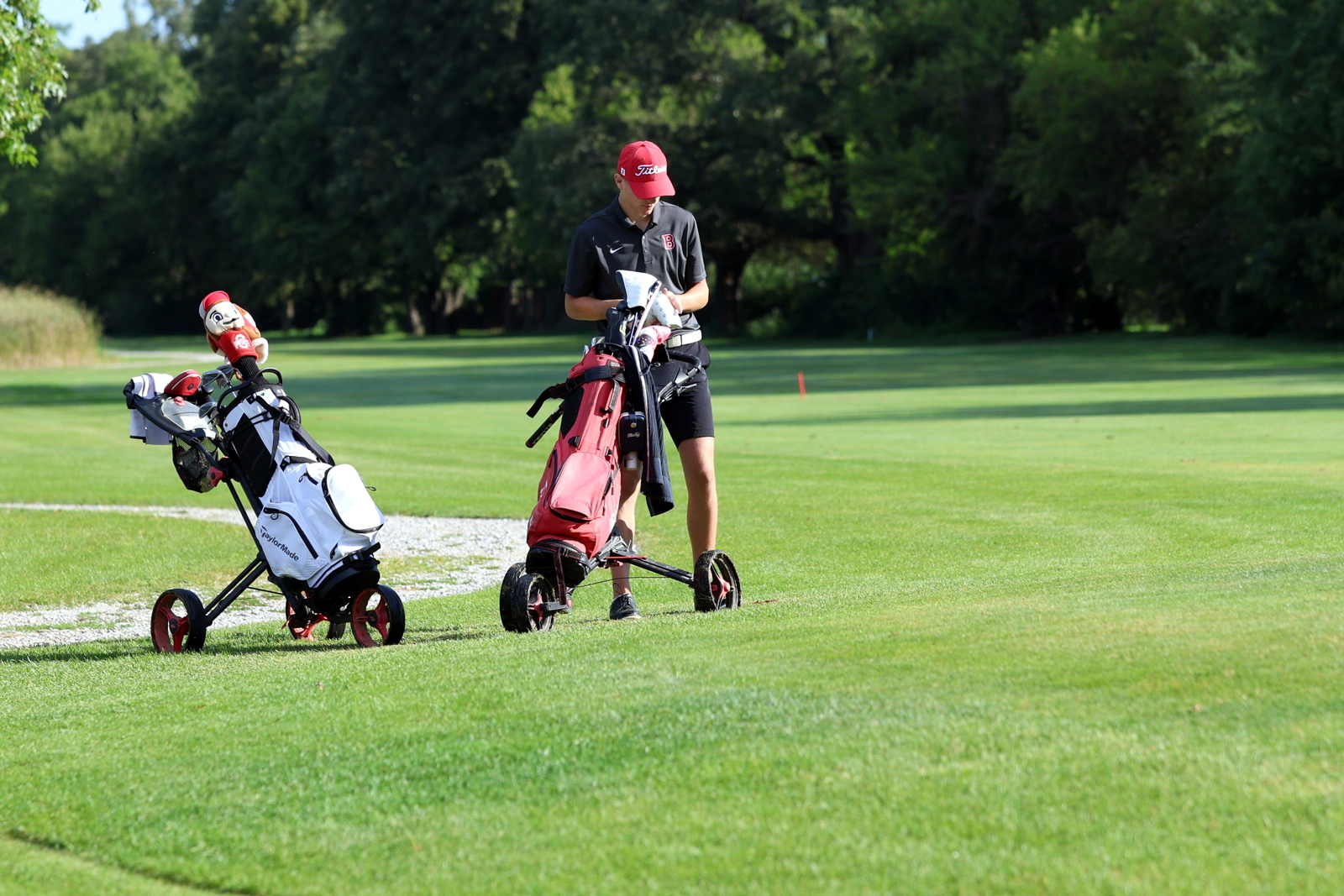 2026-vbgbellevueinvite-0608