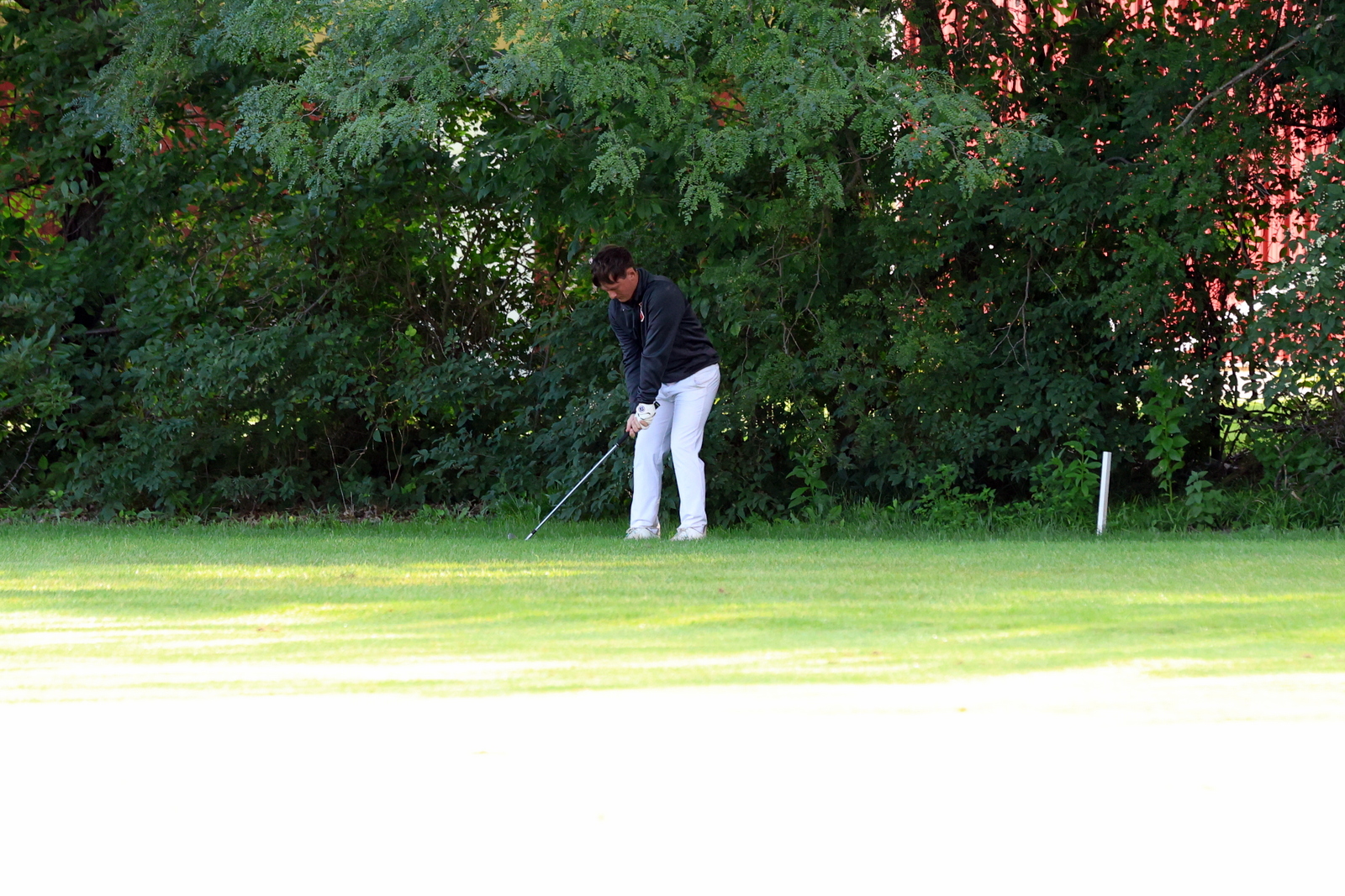 2026-vbgbellevueinvite-0703