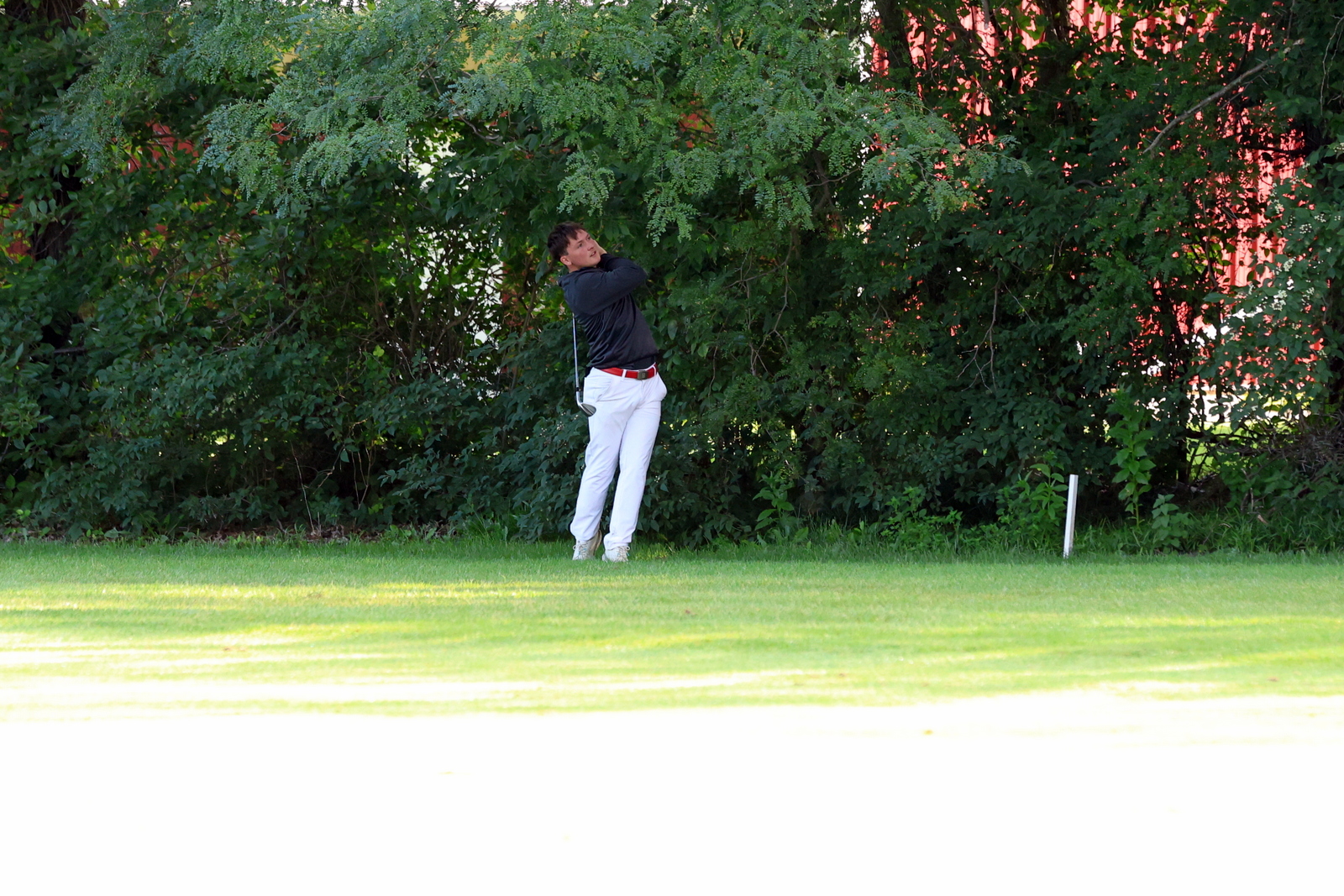 2026-vbgbellevueinvite-0710