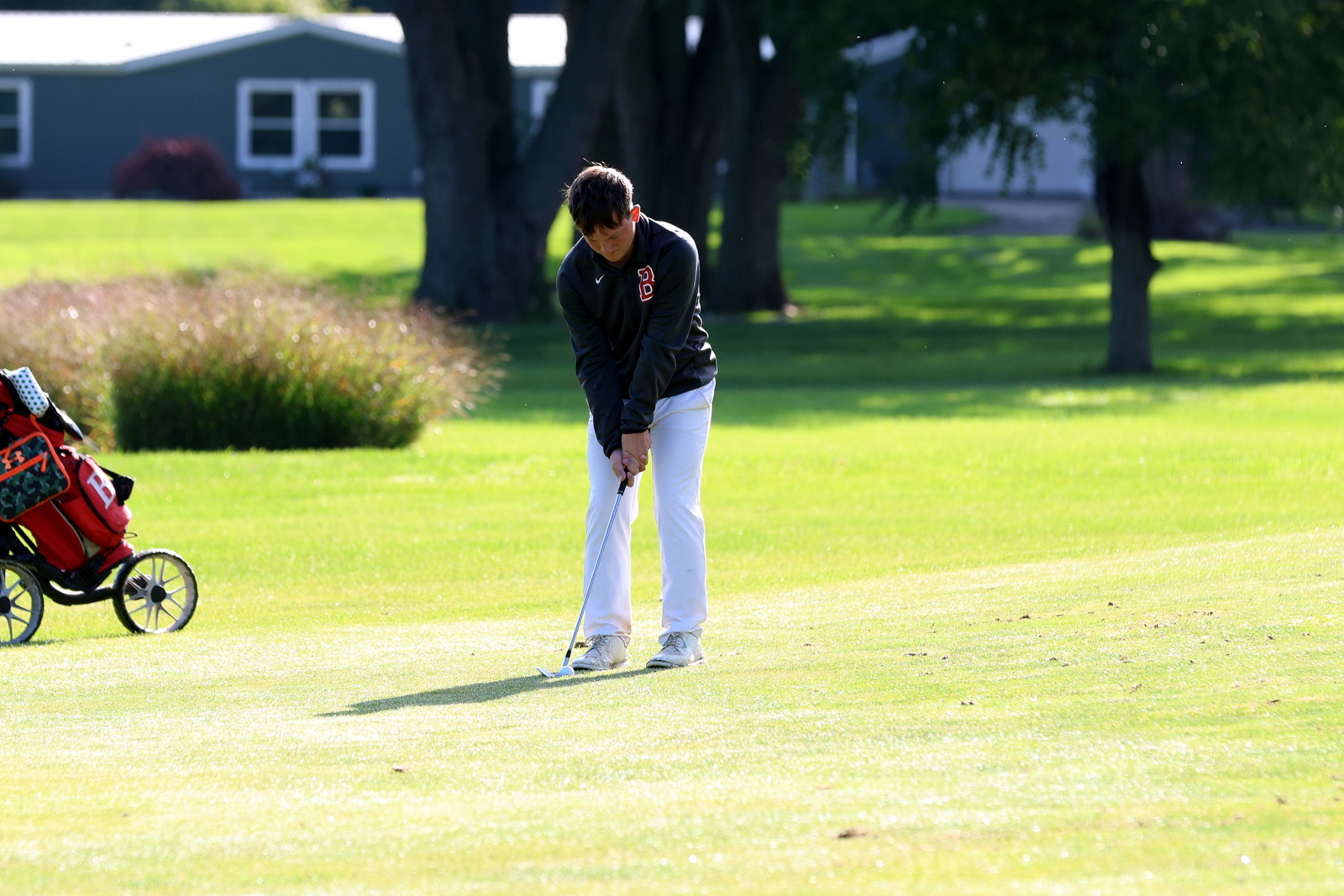 2026-vbgbellevueinvite-0733