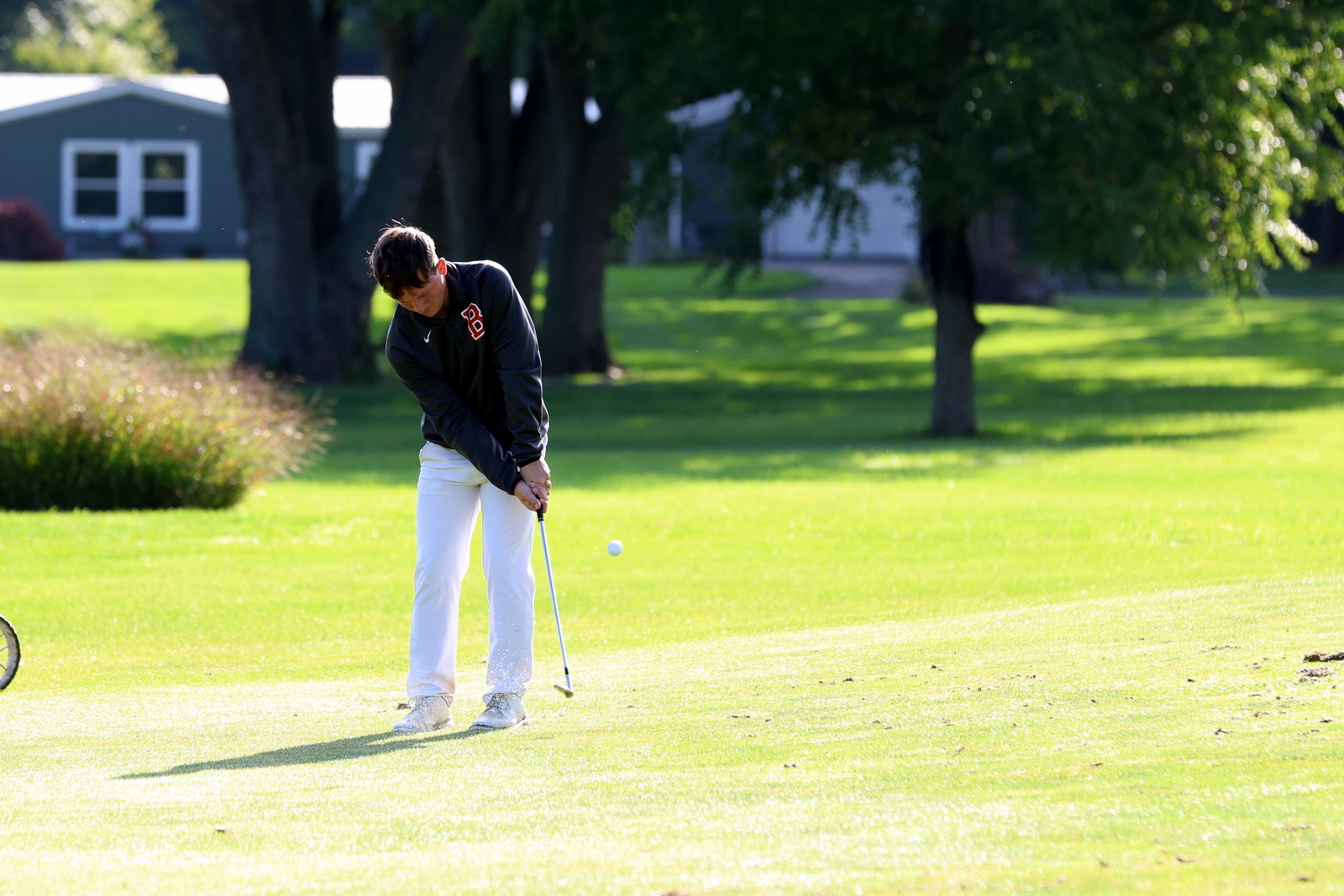 2026-vbgbellevueinvite-0736