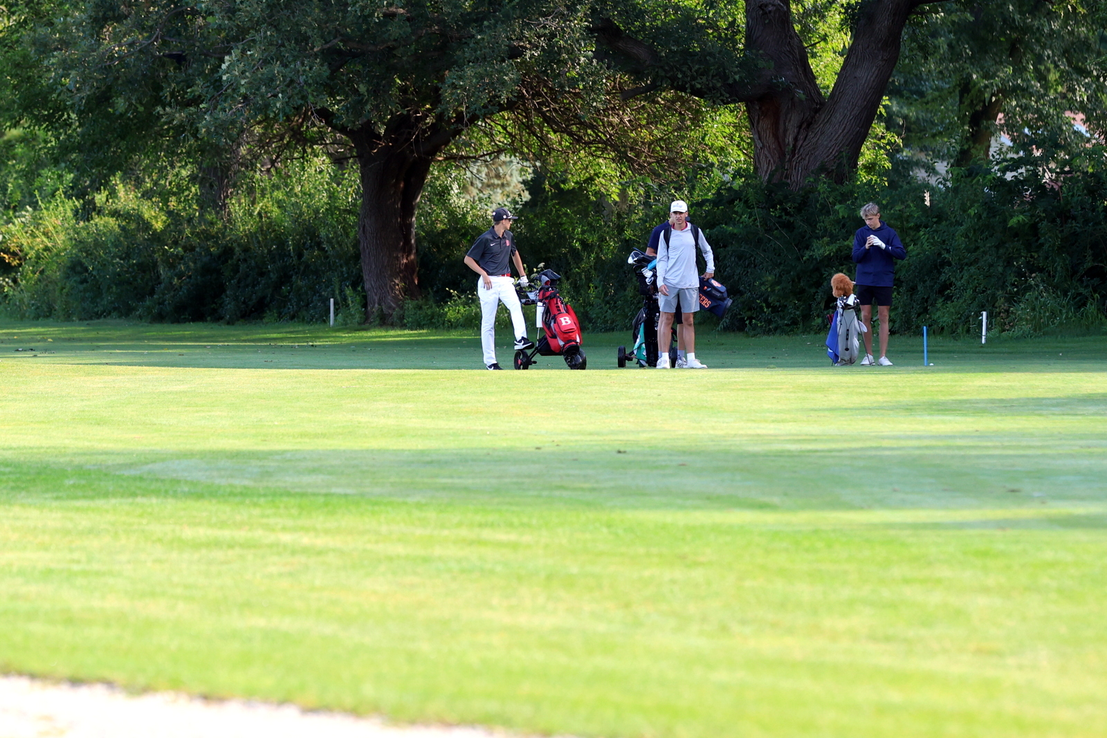 2026-vbgbellevueinvite-0832