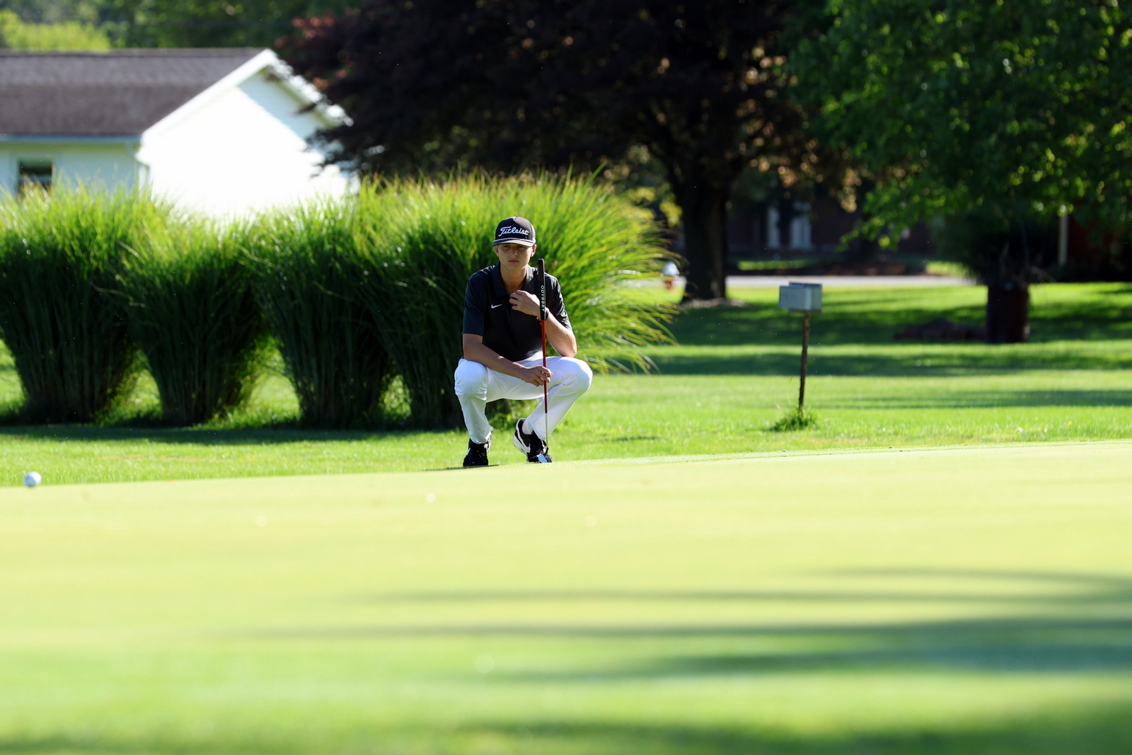2026-vbgbellevueinvite-0916