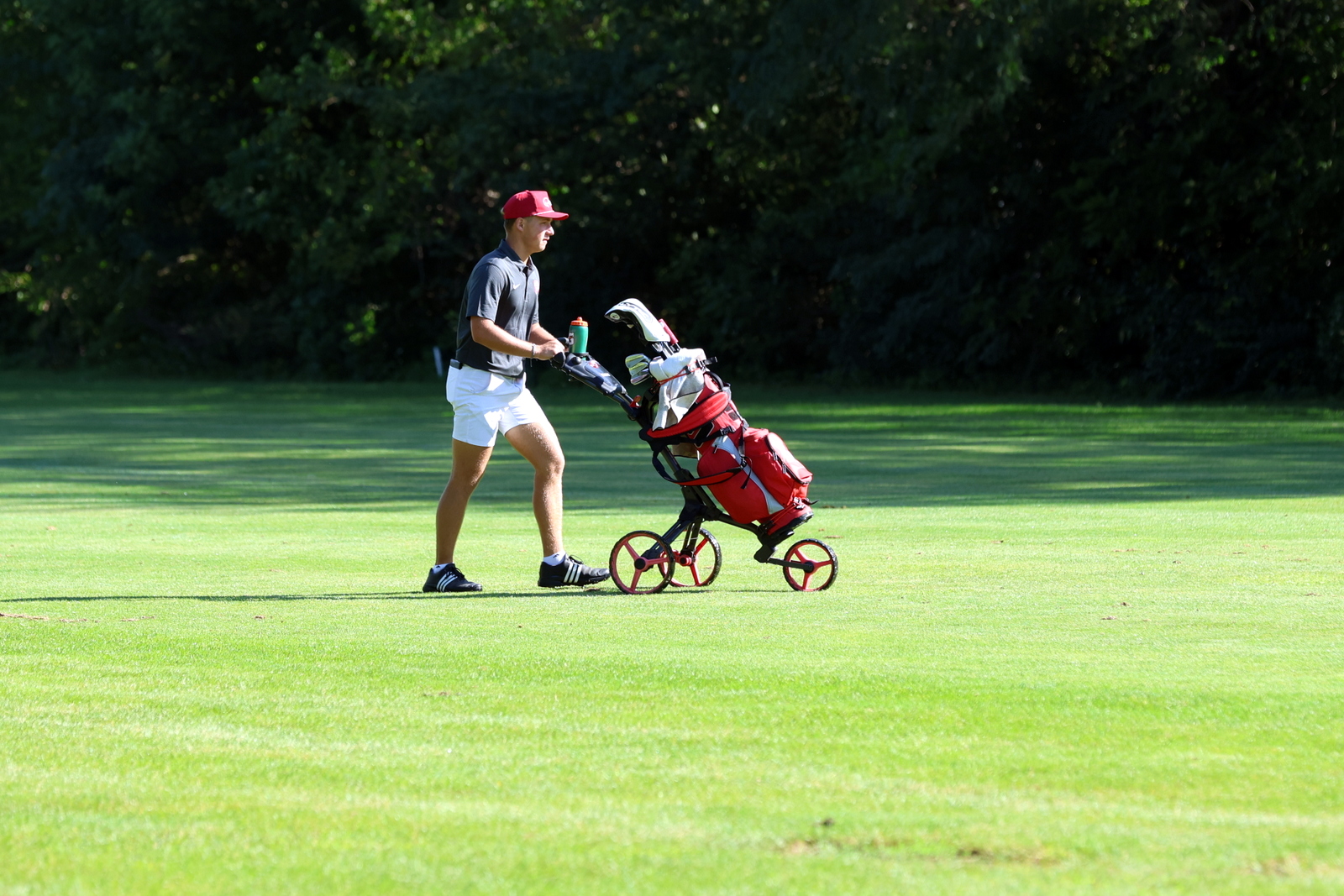 2026-vbgbellevueinvite-0988