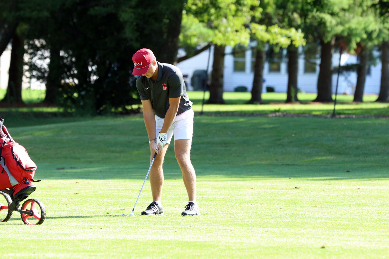 2026-vbgbellevueinvite-1028