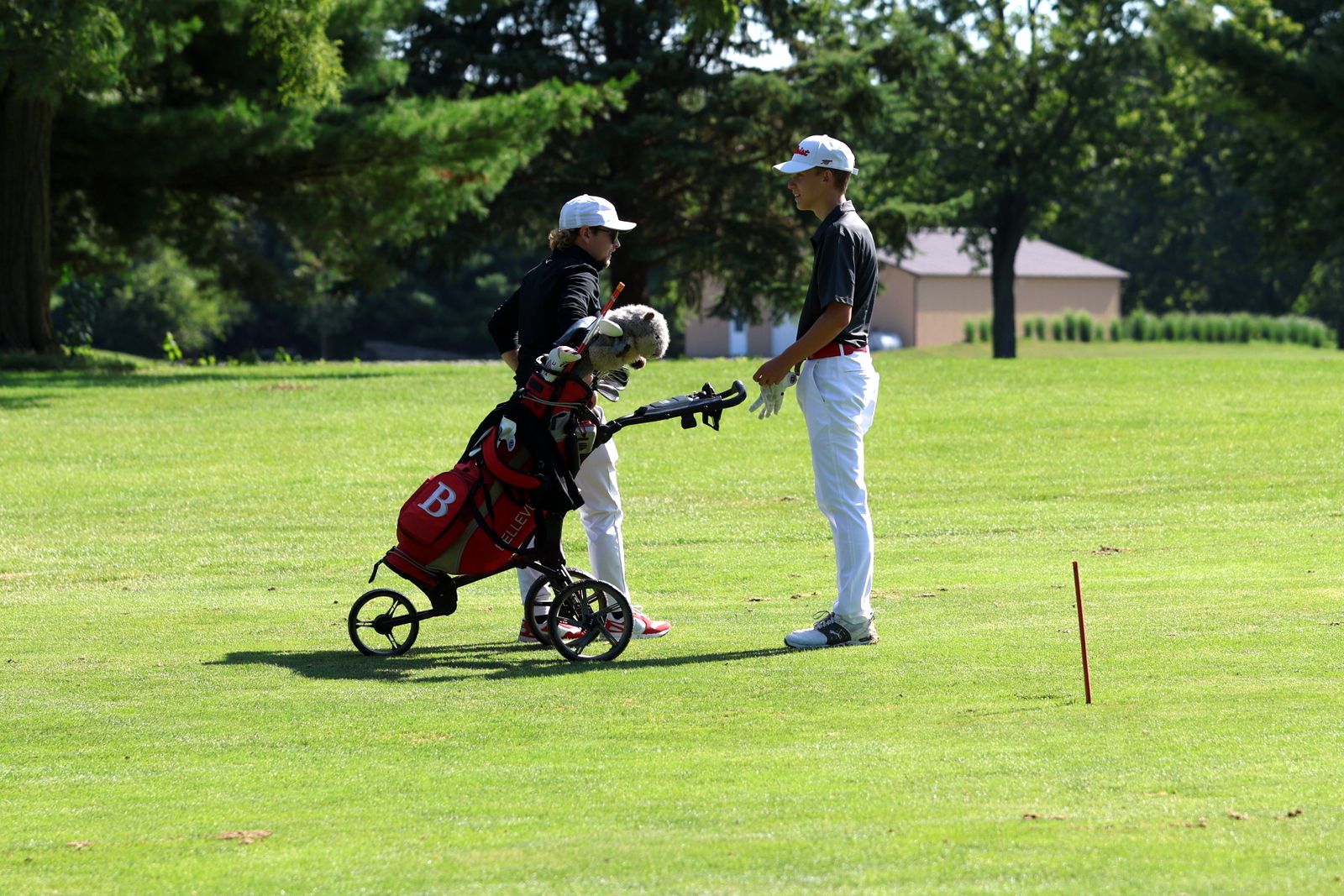 2026-vbgbellevueinvite-1324