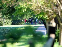 2026-vbgbellevueinvite-0117