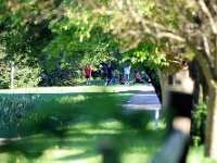 2026-vbgbellevueinvite-0119