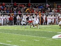 140-2026- vfbpc-0619