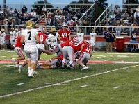 2026- vfbtiffin-0128
