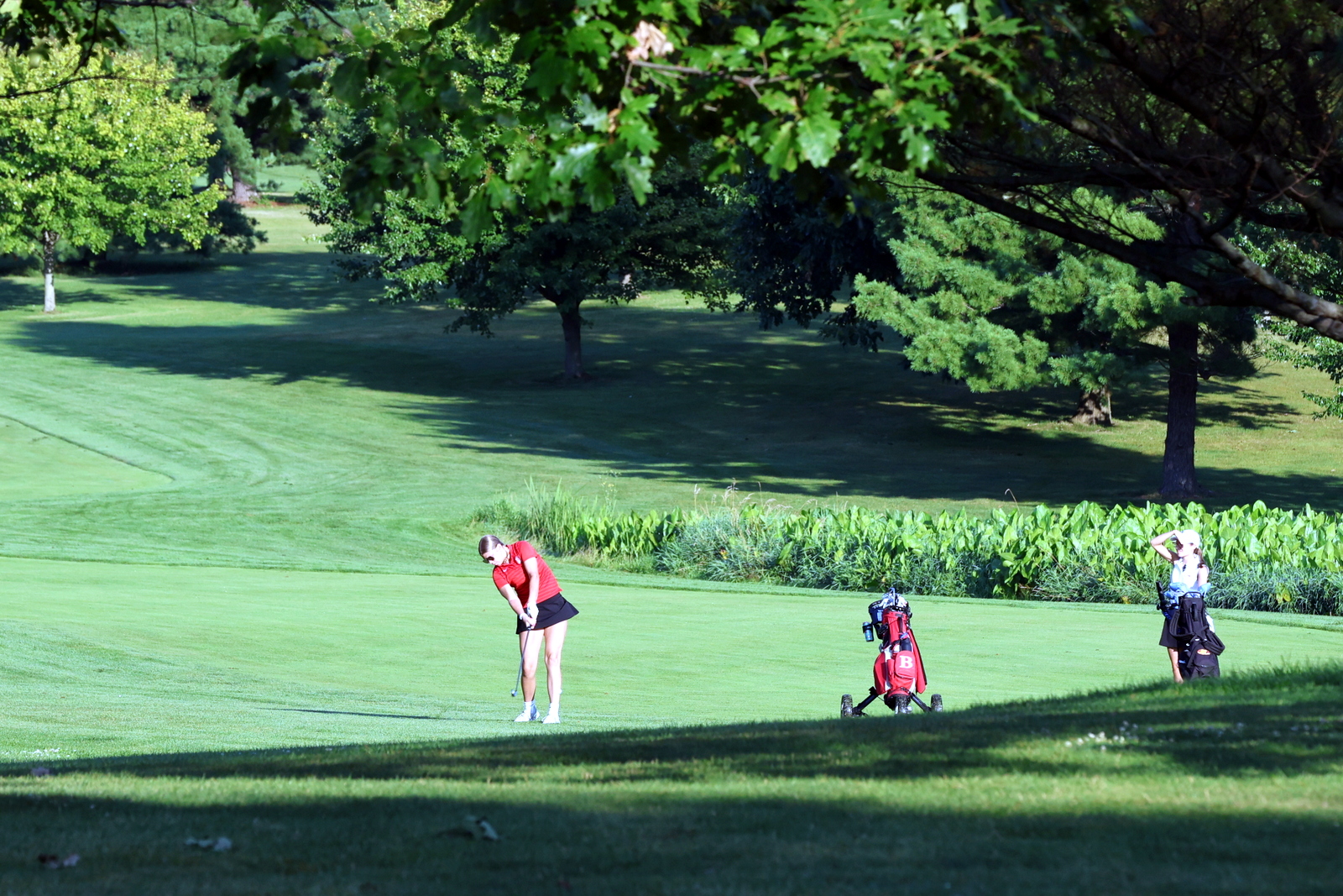 2026-vggatedisoninvite-0315