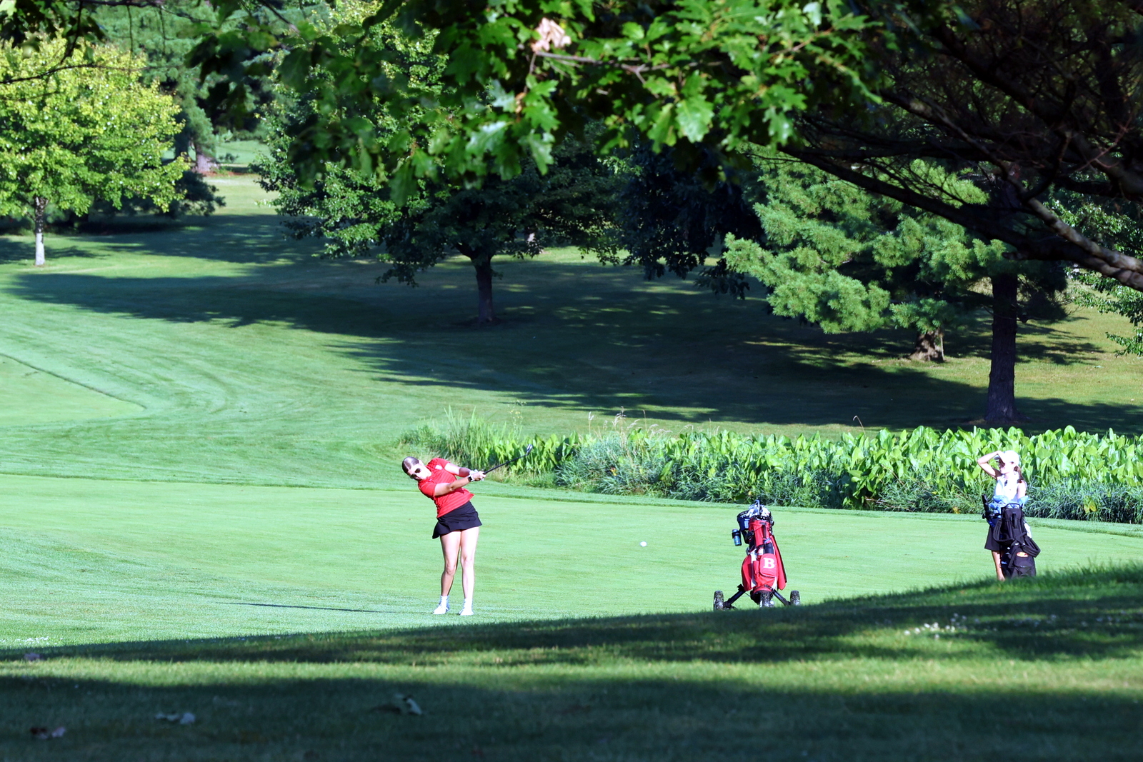 2026-vggatedisoninvite-0318