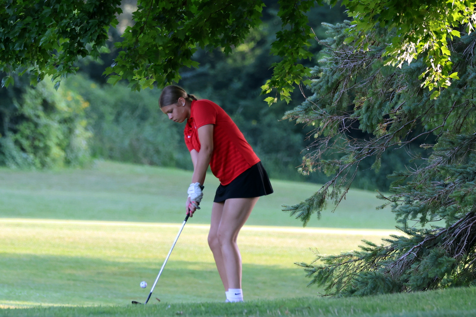 2026-vggatedisoninvite-0412
