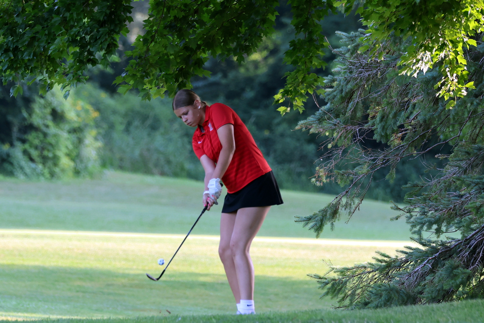 2026-vggatedisoninvite-0415