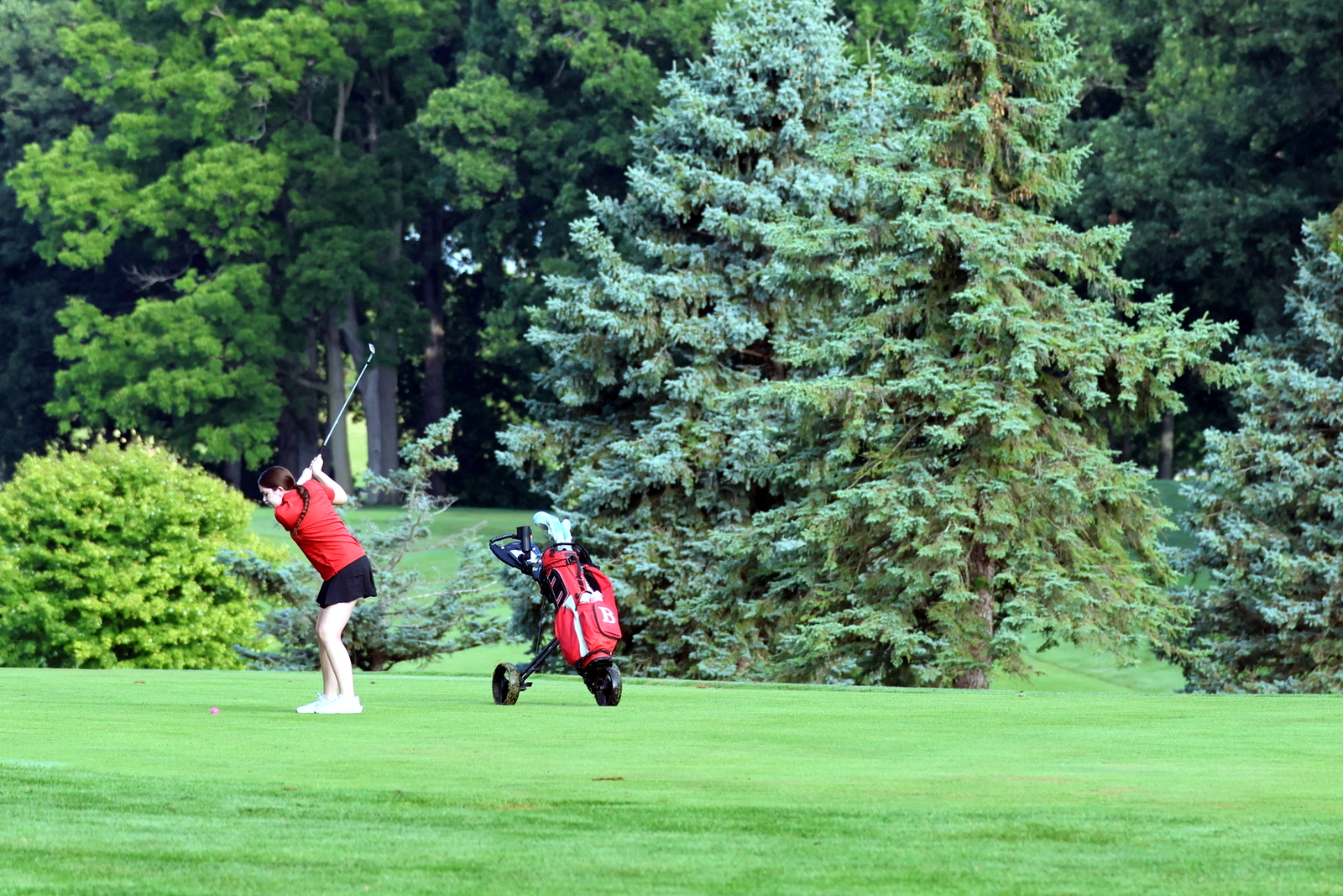 2026-vggatedisoninvite-0610