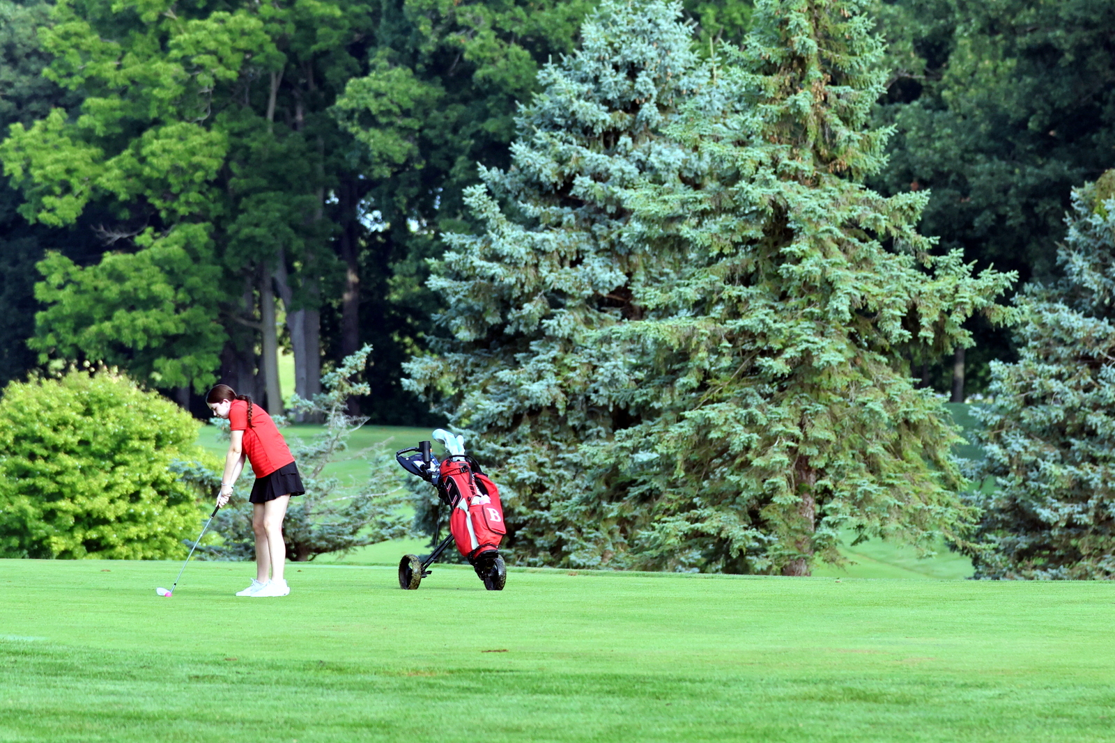 2026-vggatedisoninvite-0620