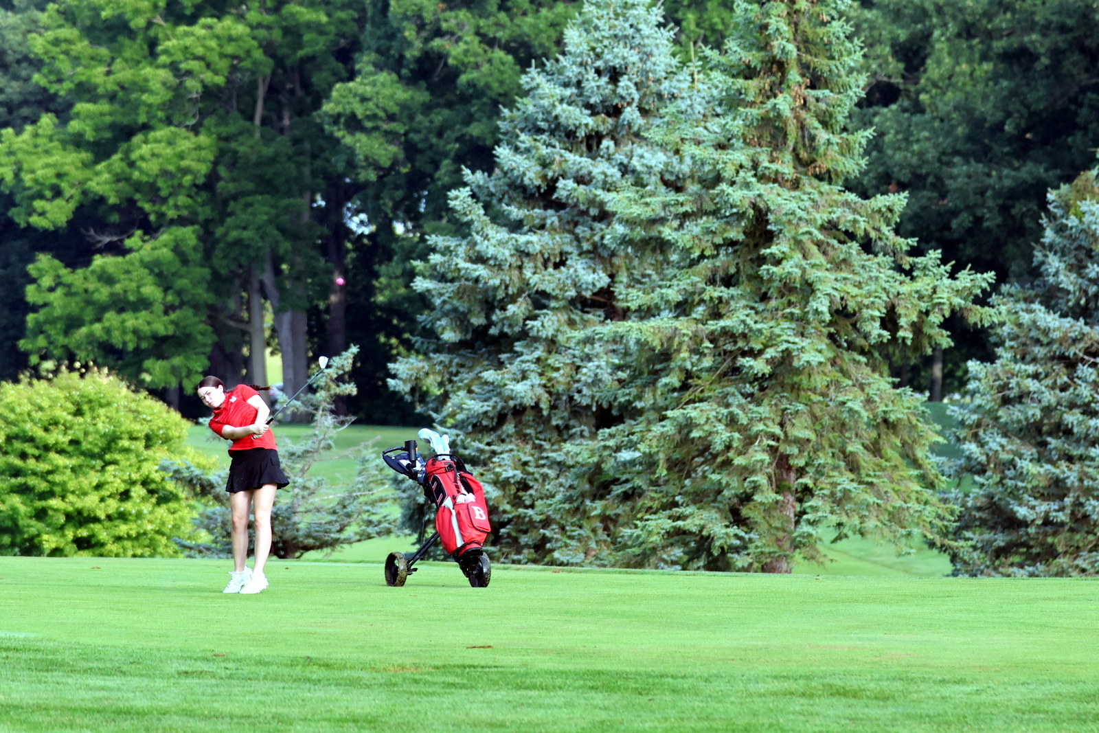 2026-vggatedisoninvite-0627
