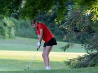 2026-vggatedisoninvite-0412
