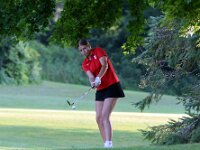 2026-vggatedisoninvite-0419