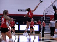 31-2026-vvbatperkins-0097