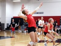 87-2026-vvbatperkins-0348
