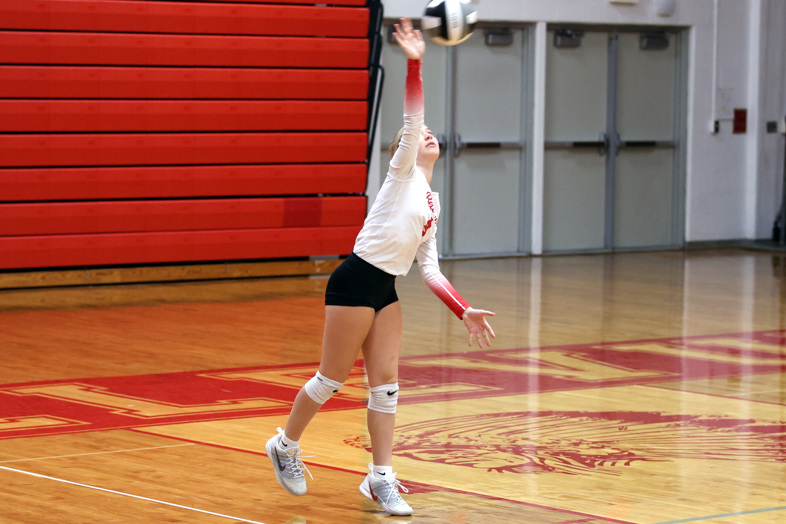 2026- vvbwillard-0775