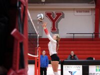 2026- vvbwillard-0197