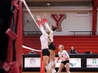 2026- vvbwillard-0286