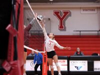 2026- vvbwillard-0355