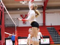 2026- vvbwillard-0371