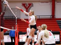 2026- vvbwillard-0415