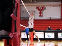 2026- vvbwillard-0431