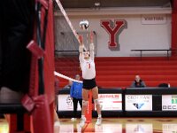2026- vvbwillard-0436