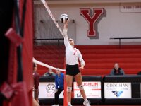 2026- vvbwillard-0454
